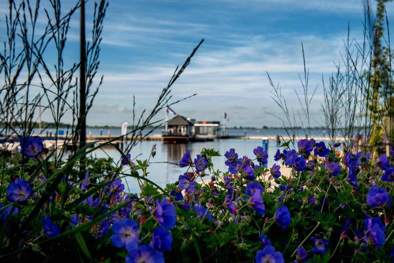 Welcome In - Houseboat 'Elysium' Met Eigen Aanlegsteiger Sneek - Offingawier Exteriör bild